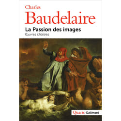 La passion des images - oeuvres choisies