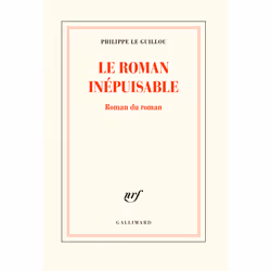 ISBN Le roman inépuisable, Français, 448 pages