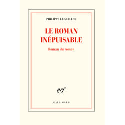 Le roman inépuisable - roman du roman