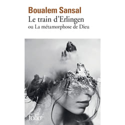 Le train d'Erlingen ou la métamorphose de Dieu