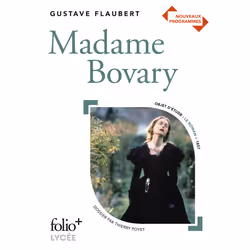 ISBN Madame Bovary, Français, 448 pages