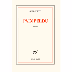 ISBN Pain perdu, Français, 160 pages