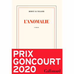 ISBN L'anomalie, Français, 336 pages