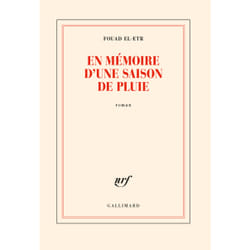 En mémoire d'une saison de pluie
