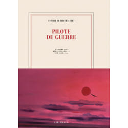 ISBN Pilote de guerre