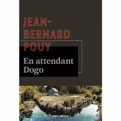 ISBN En attendant Dogo, Français, 208 pages
