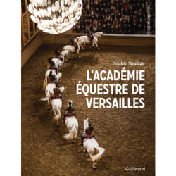 L'académie équestre de Versailles