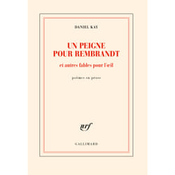 Un peigne pour Rembrandt et autres fables pour l'oeil