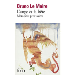 L'ange et la bête : mémoires provisoires