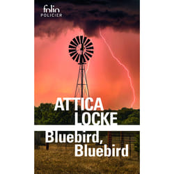 Bluebird, bluebird