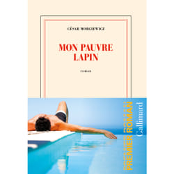 ISBN Mon pauvre lapin