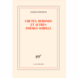 ISBN Chutes, rebonds et autres poèmes simples, Français, 104 pages