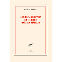 Chutes, rebonds et autres poèmes simples