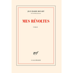 Mes révoltes
