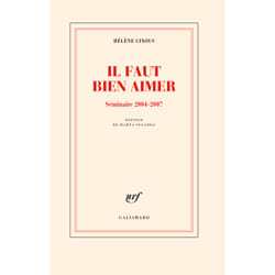 Il faut bien aimer : Séminaire 2004-2007