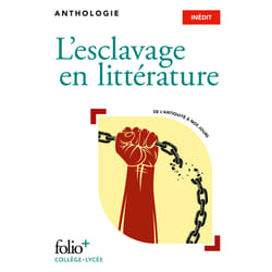 L'esclavage en débat