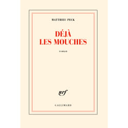 Déjà les mouches