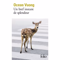 ISBN Un bref instant de splendeur, Français, 336 pages