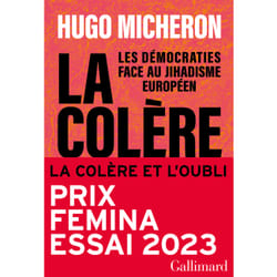 La colère et l'oubli : Les démocraties face au jihadisme européen