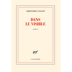 Dans le visible