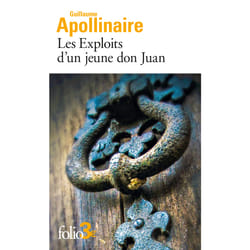 Les Exploits d'un jeune don Juan