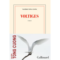 ISBN Voltiges