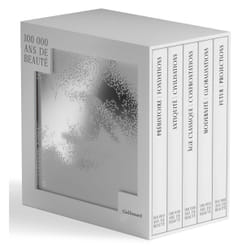 100 000 ans de beauté : 5 volumes sous coffret