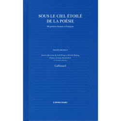 Sous le ciel étoilé de la poésie : 60 poètes chinois et français
