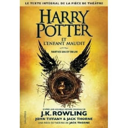 Harry Potter et l'Enfant Maudit