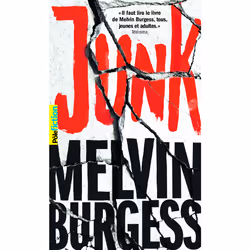 ISBN Junk, Français, 432 pages