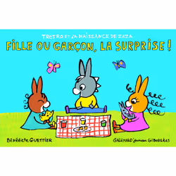 ISBN Fille ou garçon, la surprise !, Français, 12 pages