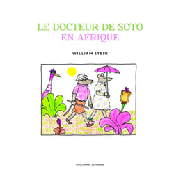 Le docteur de soto en Afrique