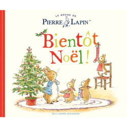 Un conte de Pierre Lapin - bientôt Noël !