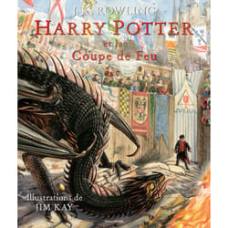 Harry Potter Tome 4 : Harry Potter et la coupe de feu