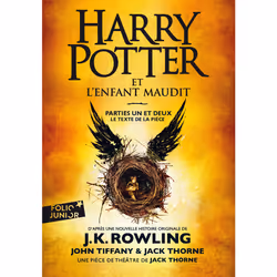 ISBN Harry Potter et l'Enfant Maudit, Français, 464 pages