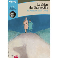 Le chien des Baskerville