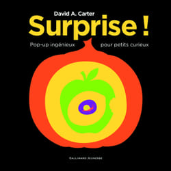 ISBN Surprise !