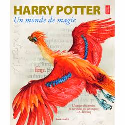 ISBN Harry Potter, un monde de magie, Français, 256 pages