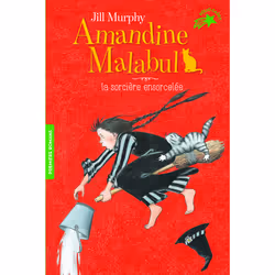 ISBN Amandine Malabul, la sorcière ensorcelée, Français, 160 pages