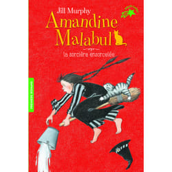 Amandine Malabul - la sorcière ensorcelée