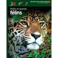 Petits et grands félins
