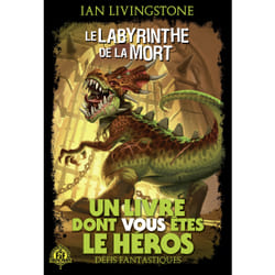Défis fantastiques Tome 5 : le labyrinthe de la mort