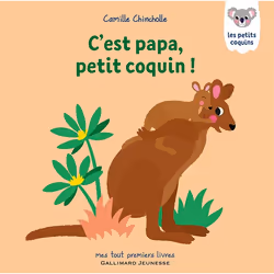 ISBN C’est papa, petit coquin !, Français, 10 pages