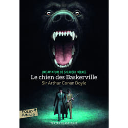 Le chien des Baskerville