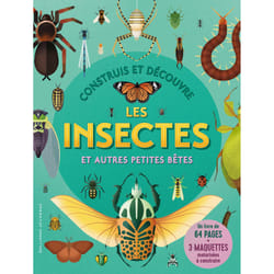 Construis et découvre : les insectes