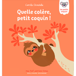 ISBN Quelle colère, petit coquin !, Français, 10 pages