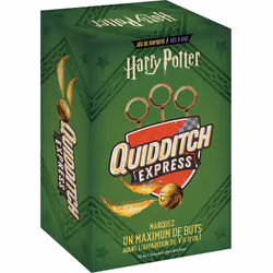 ISBN Quidditch - Le match, Français