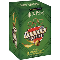 Harry Potter - Quidditch, le match