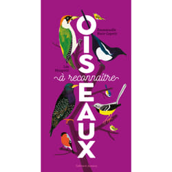 Oiseaux