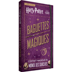Harry Potter : baguettes magiques - coffret magique du monde des sorciers